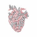 Vector illustration of a human heart tied from ropes.